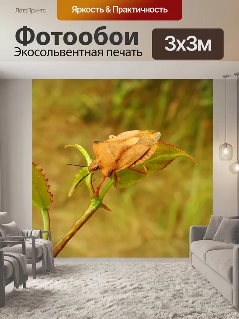 Фотообои Borczyniec фруктовый