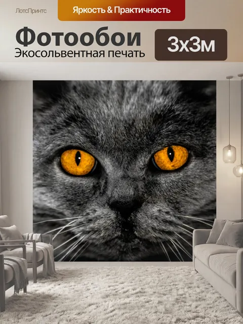 Фотообои Кот