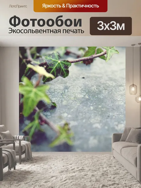 Фотообои Плющ