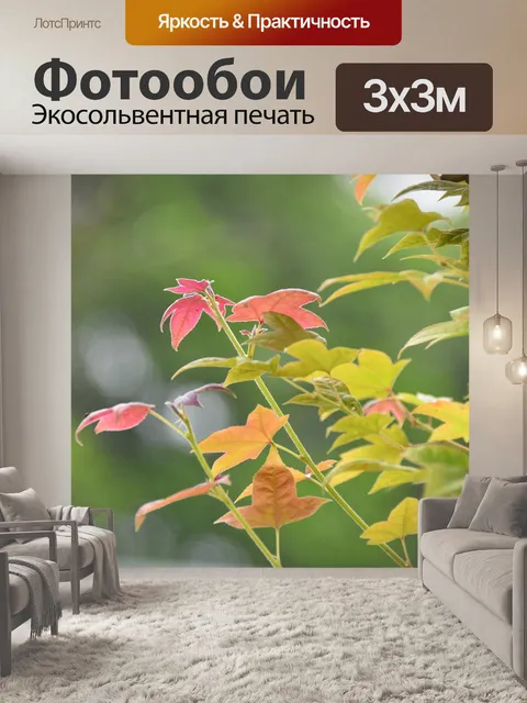 Фотообои Листья