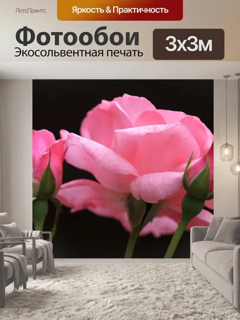 Фотообои Розовые розы бабочка