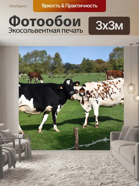 Фотообои Корова