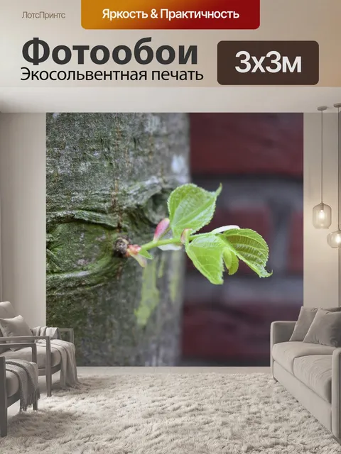 Фотообои Дерево