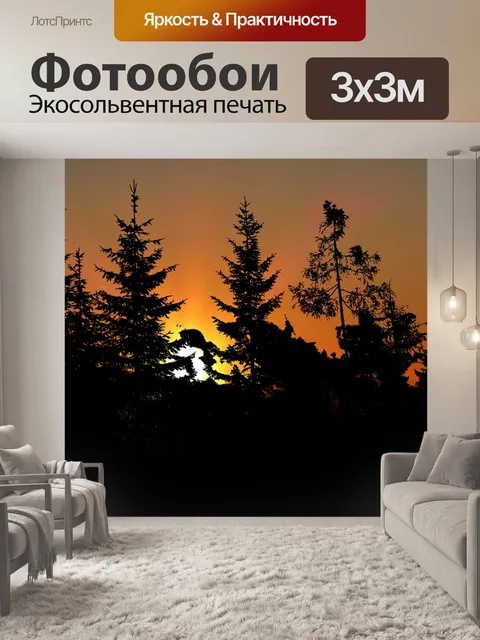 Фотообои Закат природа