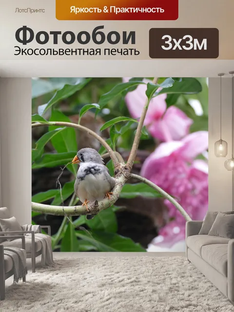 Фотообои Любовь