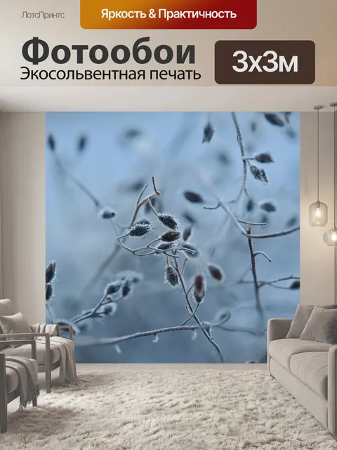 Фотообои Dry grass in mist