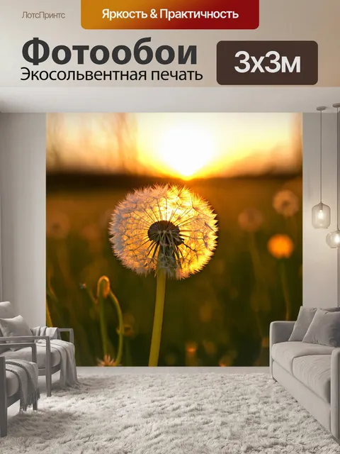Фотообои одуванчик на фоне заката