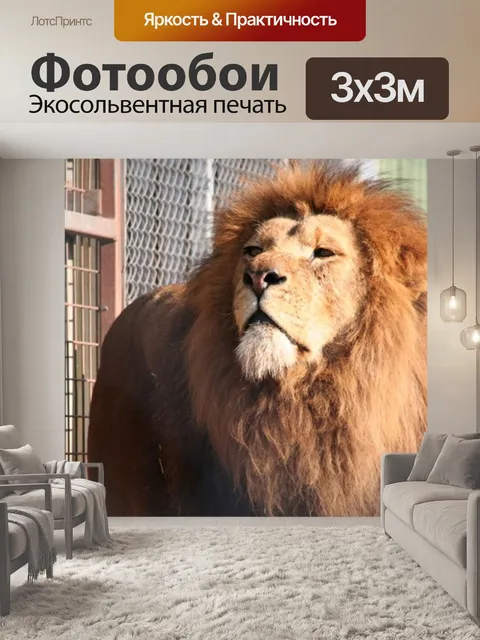 Фотообои Гордый Лев