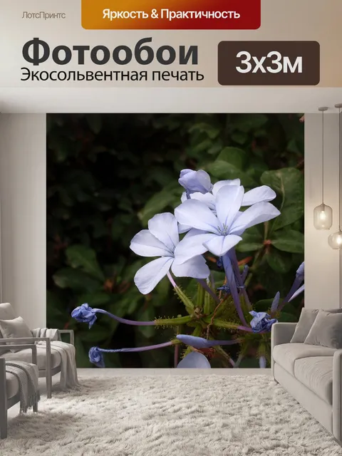 Фотообои Синий цветок