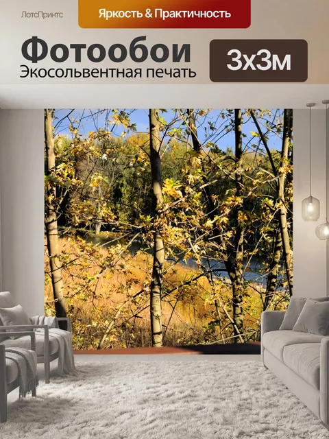 Фотообои Осенние деревья