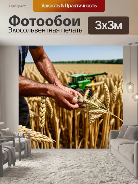 Фотообои колос в поле, где трудится фермер, его руки бережно срезают колосья, вокруг рассыпаны инструменты сельского…