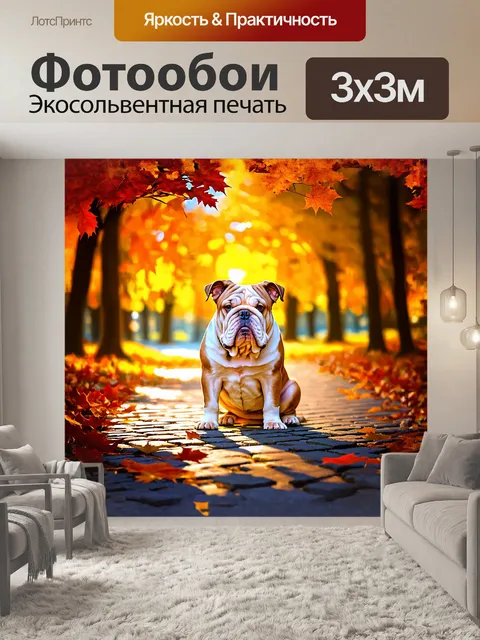 Фотообои на полотне изображен английский бульдог, сидящий на мощеной тропинке в парке во время осени
