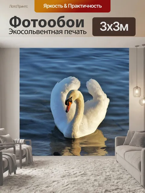 Фотообои Лебедь