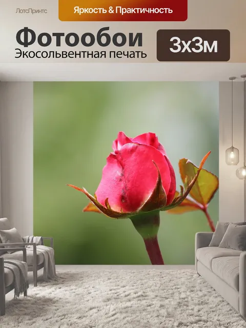 Фотообои Природа