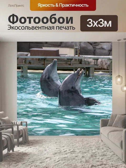 Фотообои два дельфина