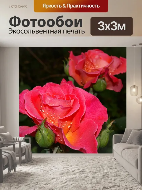 Фотообои Роза
