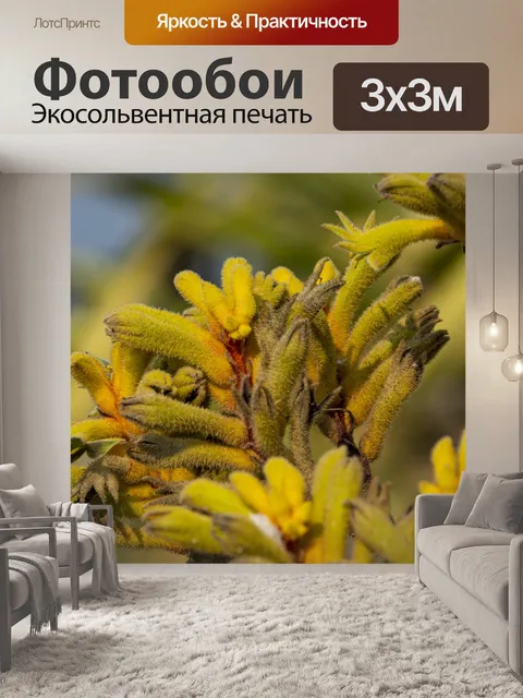 Фотообои Жёлтый самоцвет анигозантоса