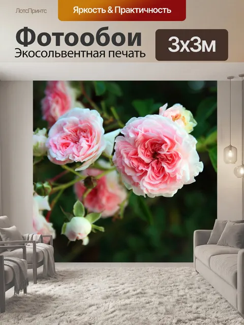 Фотообои розовые розы