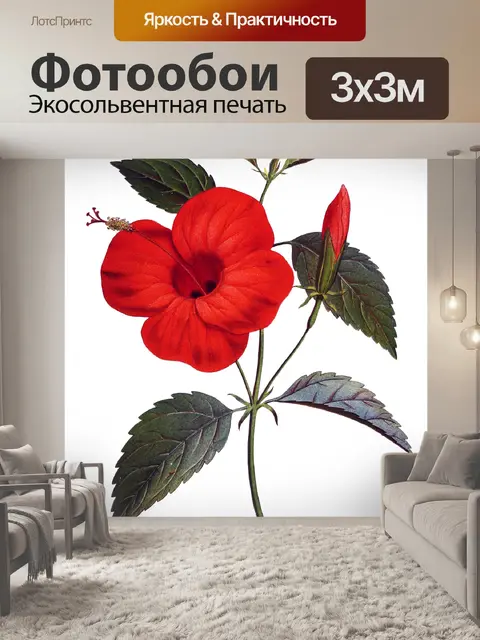 Фотообои Красный цветок гибискуса