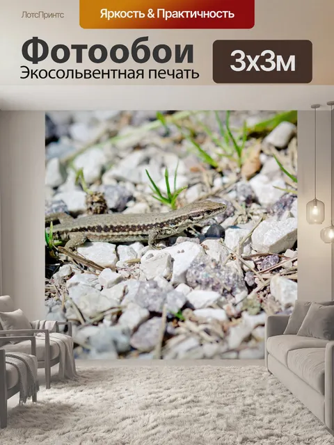 Фотообои Настенная ящерица