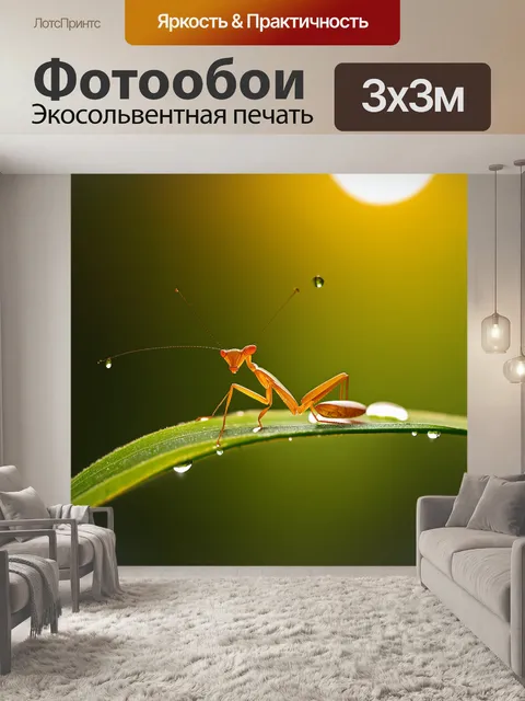 Фотообои нежное изображение маленького богомола, сидящего на капле утренней росы на зеленом листе