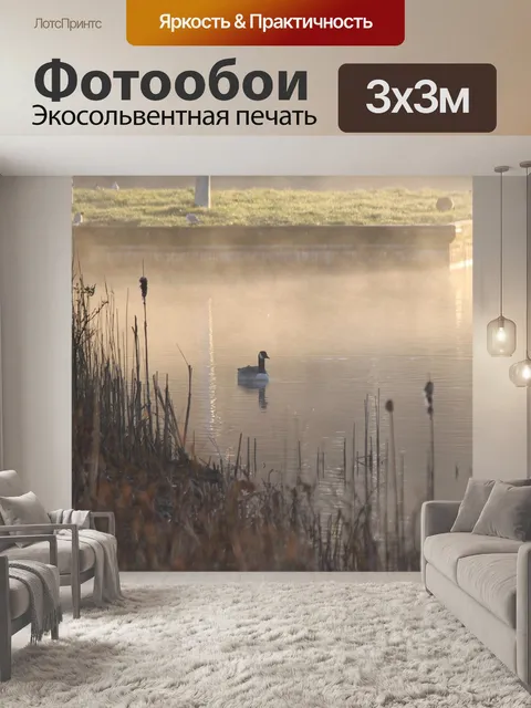 Фотообои Туман