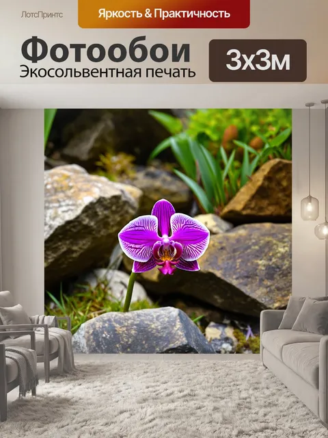 Фотообои орхидея среди камней, природный ландшафт