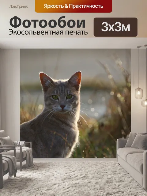 Фотообои Кот