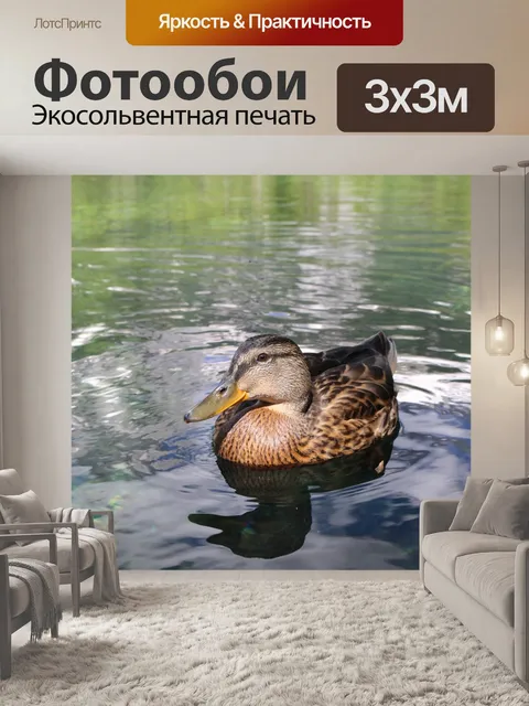 Фотообои Утка
