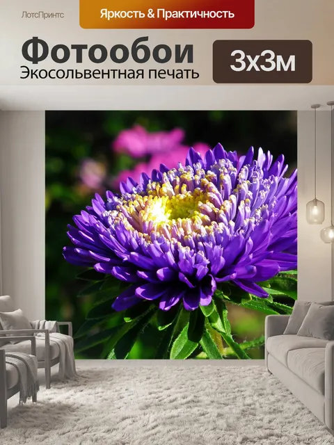 Фотообои Цветок