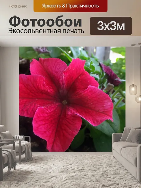 Фотообои розовый цветок