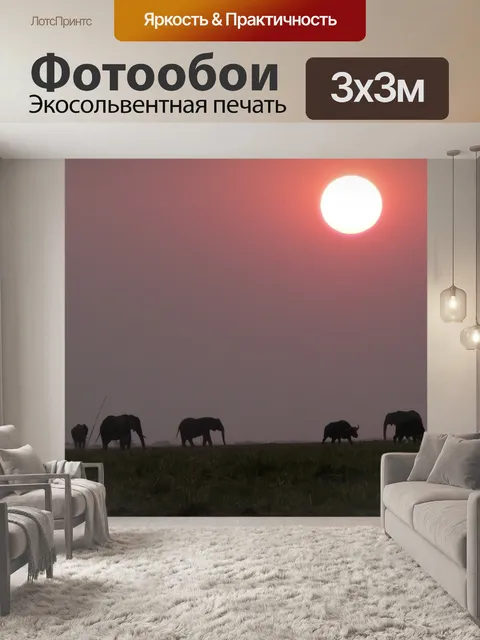 Фотообои Африке