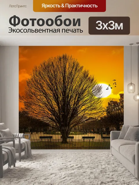 Фотообои Париж