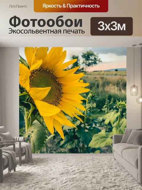 Фотообои Подсолнечник