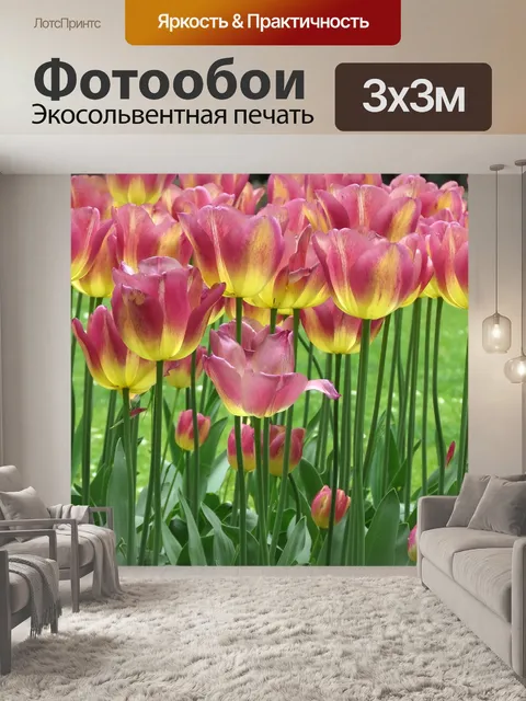 Фотообои Тюльпаны