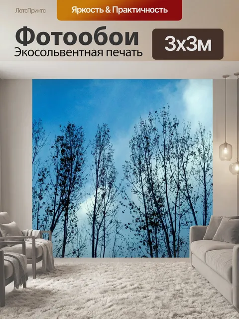 Фотообои Тополя в вечернее время