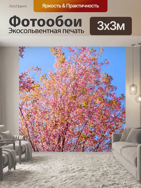 Фотообои Prunus cerasoides, дикая гималайская виш