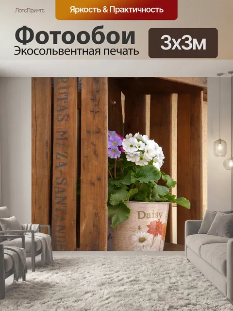 Фотообои Стеллажи