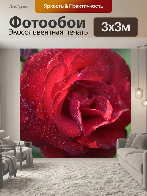 Фотообои Тень розы