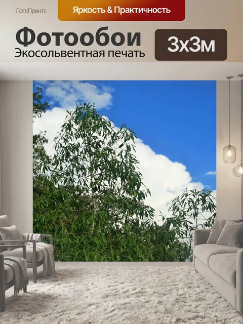 Фотообои Небо и зеленое дерево