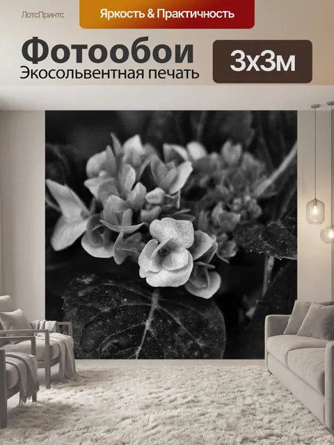 Фотообои Черно-белая гортензия