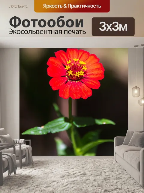 Фотообои красный тропический цветок