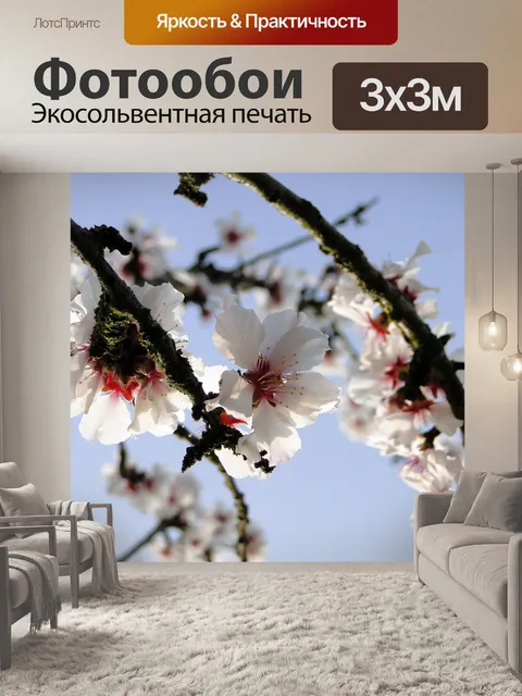 Фотообои Цветок миндаля