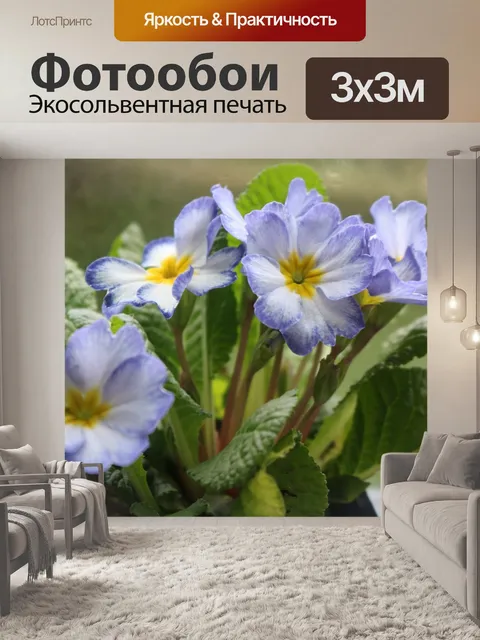Фотообои Цветок