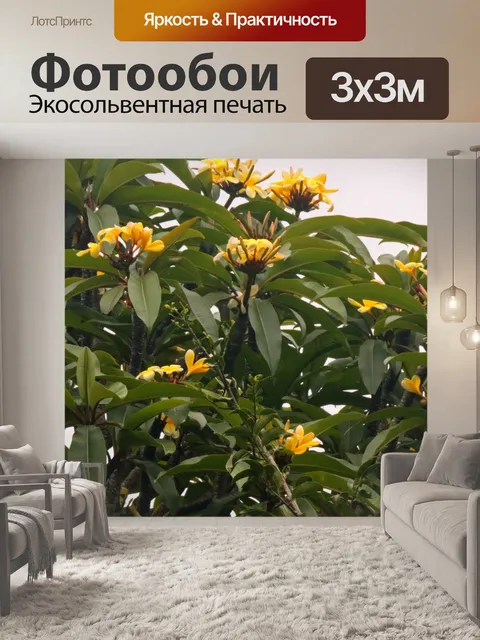 Фотообои жасмина с желтыми цветами