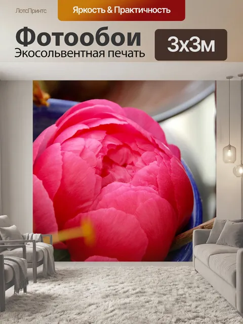 Фотообои Пион