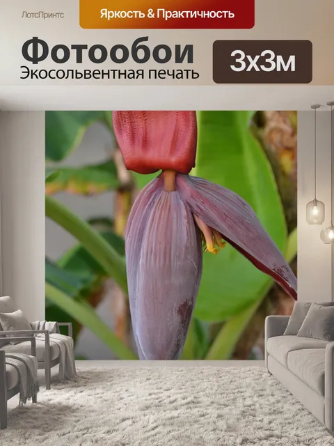 Фотообои Цветок