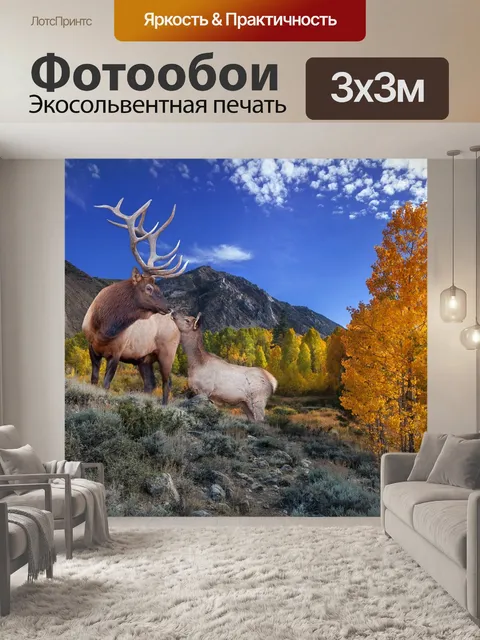 Фотообои Лось