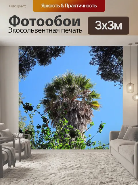 Фотообои высокий пальмы и другие деревья