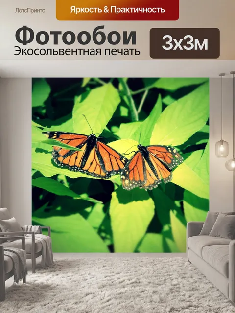 Фотообои Бабочки